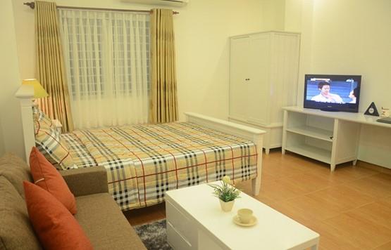 serviced apartment for rent in district 1 D199222 (2)